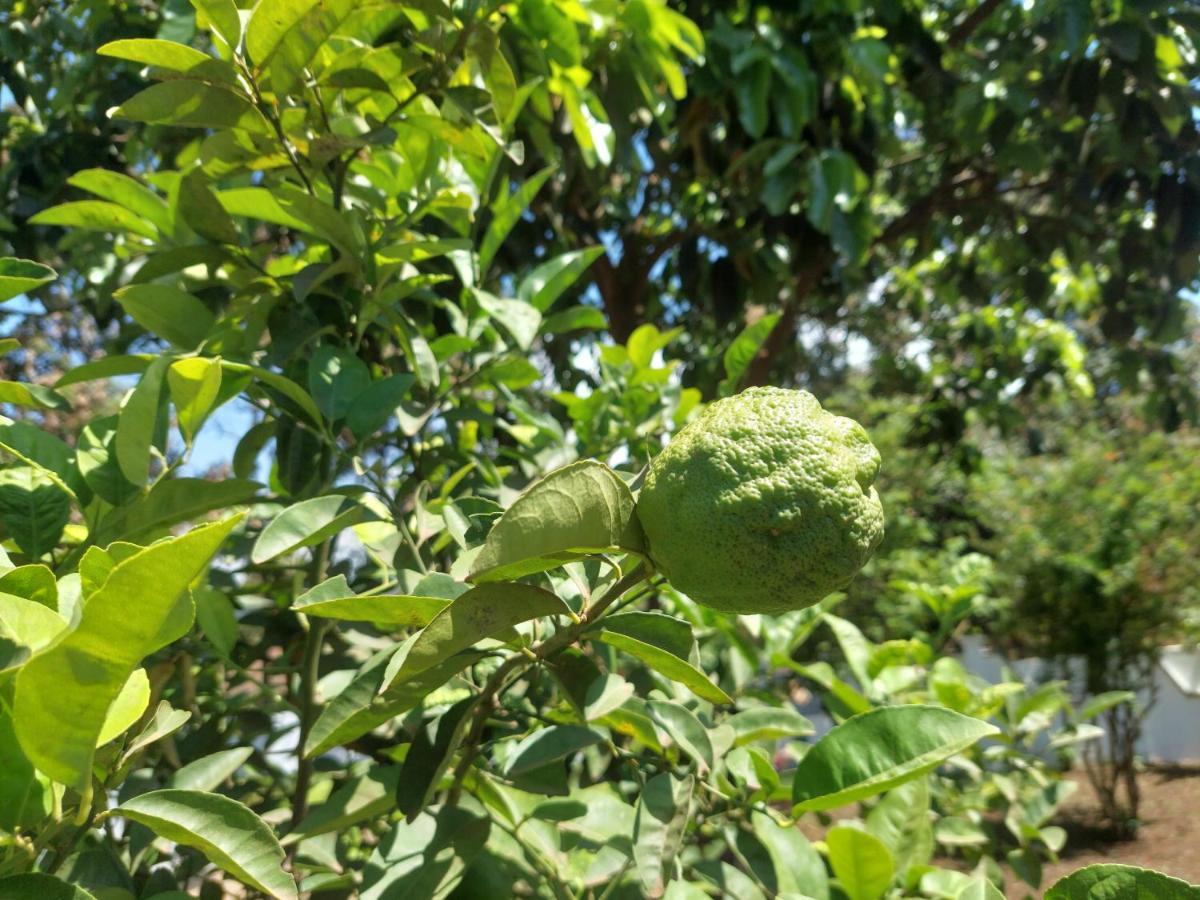 Lost In Africa 阿鲁沙 外观 照片