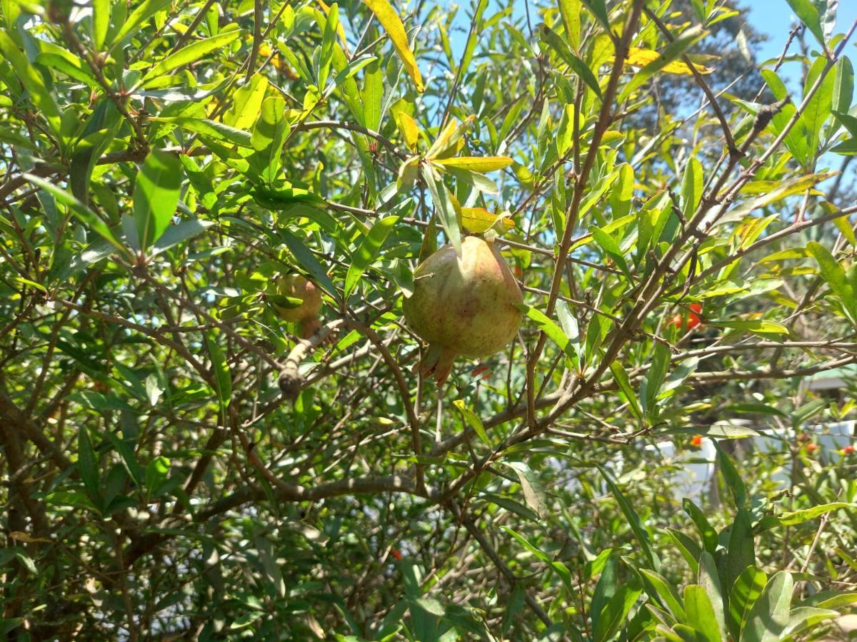 Lost In Africa 阿鲁沙 外观 照片